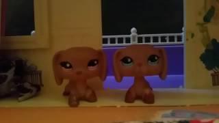 LPS : Titanium - Music Video ( For LPSToriandTeri )