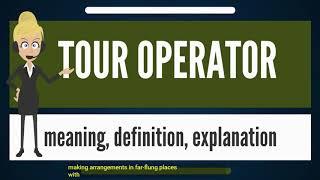 What is a tour operator?