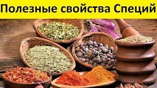 Полезные свойства Специй