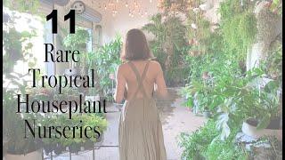 11 Rare, Tropical & Houseplant Nursery Shops, FL to OR