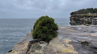 Sydney Harbour National Park