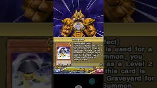 Synchro Turbo Exodia? - Yu-Gi-Oh! WC2011 DS