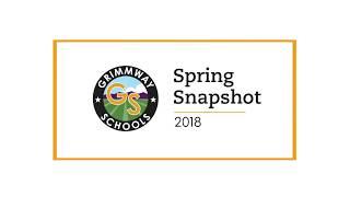 2018 Spring Snapshot