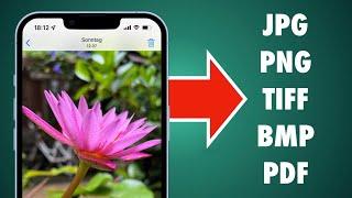  iPhone Bilder umwandeln | kostenlos