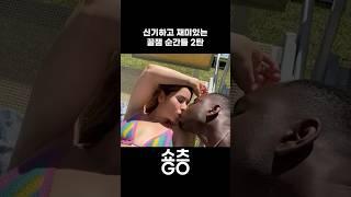 신기하고 재미있는 꿀잼 순간들 2탄