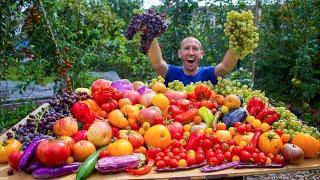 Late Summer Garden Harvest, This is What I Harvested TODAY!