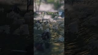 some funny moments #ghostoftsushima