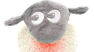 Ewan The Shushing Sheep In The Dark (Thank You @SweetDreamersTV)