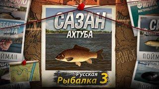 "Мутант" Сазан. Ахтуба. Русская Рыбалка 3.