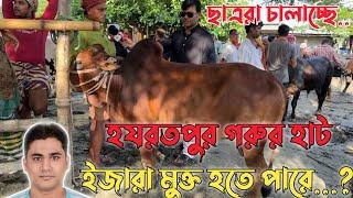 ইজারা মুক্ত হতে পারে হযরতপুর গরুর হাট|হযরতপুর সাপ্তাহিক গরুর হাট||গরুর হাট ২০২৪ইং|ছাএরা চালাচ্ছে হাট