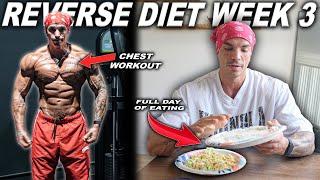 REVERSE DIET WEEK 3 + FULL CHEST WORKOUT !
