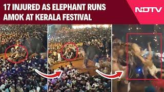 Kerala News | Elephant Gets Agitated At Kerala Festival, 17 Injured