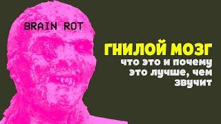 Гниение мозга. Что такое Brain Rot