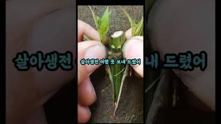 우리 집 제사 없앤 방법