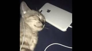 playlist prod.Kuyo