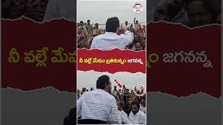 YS Jagan Full Craze in Krishna Lanka | #ysjagan | #heavyrain | #appolitics | #trending | #shorts