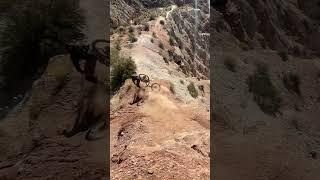 King Kong Trail - Massive Crash Virgin, UT #kingkong #redbullrampage