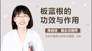 板蓝根介绍 板蓝根的功效与作用是什么 有来医生