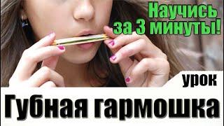 Как научиться играть на губной гармошке [УРОК] С нуля!