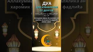 Сильное дуа от избавления долгов #quran #коран #куран #сура #islam #чтениекорана #дуа #qurantilawat