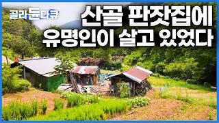 산삼캐다 발견한 다 무너져가는 오두막에 방송에서 봤던 유명인이 살고 있었다│라면만 17년째 먹는 할아버지 이야기│한국기행│#골라듄다큐