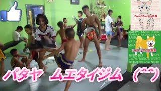 パタヤのムエタイジムの子供たち タイ  Thailand Pataya MuayThai