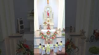 Phút Giao Thừa, st: Lm. Nguyễn Duy và Lm. Vũ Mộng Thơ