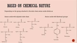 AMINO AICDS and classification