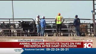 VIDEO: The Animal Welfare Institute released a statement yesterday urging for more fire preventio...