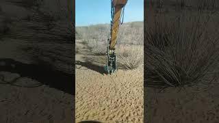 Excavator cutting small trees process- Good tools and machinery make work easy