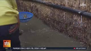 ubc 뉴스투데이  2025년 5월19일(월)