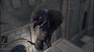Elden Ring Magical Horse Physics
