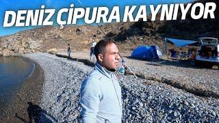 Karaburun'da Issız Kamp ve Balık Avı Meraları! - 4 Koy 4 Macera