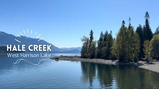 Exploring Hale Creek: Easy Route, Perfect Campsite | April 2024