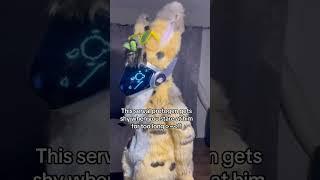 This protogen serval gets shy when you stare at him for too long! #protogen #furry #furrsuit #serval