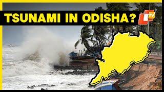 Odisha SRC Clarifies On 'Tsunami'; IMD Issues Yellow Warning Amid Heavy Rainfall Prediction