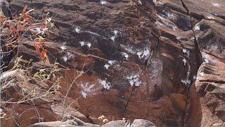 Historic Olowalu petroglyphs on Maui defaced with paintballs