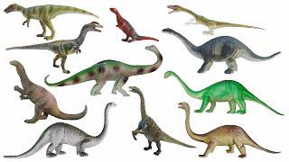 Triassic Dinosaurs - Plateosaurus, Camelotia & More - The Kids' Picture Show (Fun & Educational)