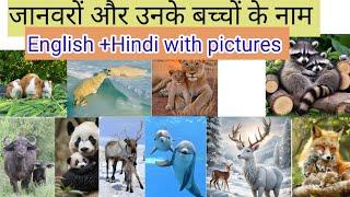 20 जानवरों और उनके बच्चों के नाम | Animals and their  babies  names learn with krishu