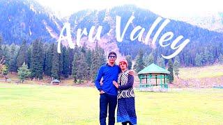 Aru Valley | Tour of Aru Valley | ABC Valley | Pahalgam Tourist Places | Kashmir Tourist Places