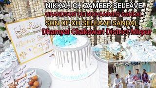 NIKKAH CH ZAMEER SELEAVE GRANDSON CH MUHAMMAD SANDAL & SON OF CH SELEAVE SANDAL DAUGHTER OF......