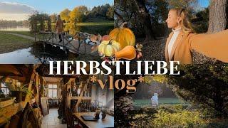 VLOG  ein traumhafter Herbsttag + REALTALK über das Singlesein