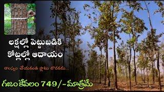 Per Sq yard Rs 749/- only || REDSANDAL FARM LAND FOR SALE || Best Investment plots for sale