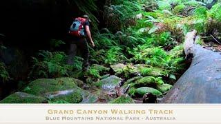 Grand Canyon Walking Track Australia
