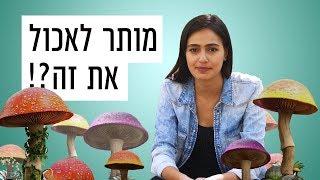 כאן | איך יודעים איזה פטריות מותר לאכול? - המדריך לליקוט פטריות