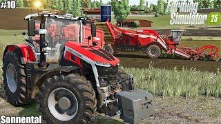 HARVESTING POTATOES and GRASS SILAGE FOR SILAGE│Sonnental│FS 25│10