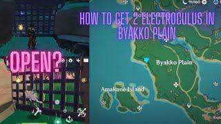 2 Locked Electroculus in Byakko Plain - Konda Village Quest - Genshin impact Inazuma