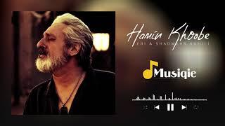 Ebi & Shadmehr Aghili - Hamin Khoobe | ابی و شادمهر عقیلی همین خوبه