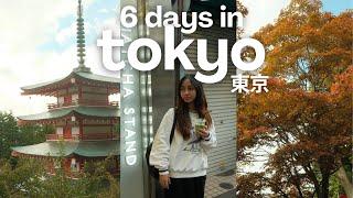 japan vlog 2024  our full 6-day itinerary in tokyo, japan (asakusa, shibuya, mount fuji, & more)