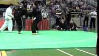 Pencak Silat Tribute